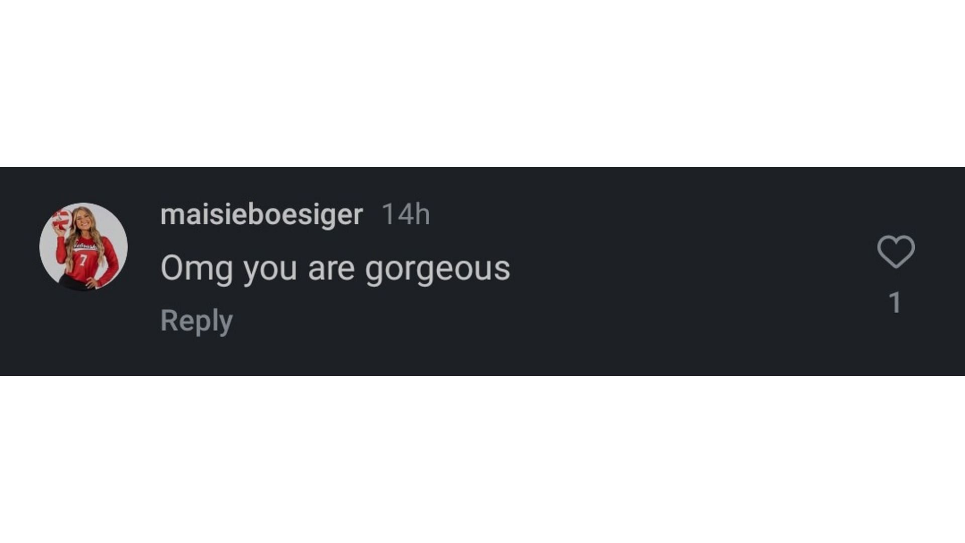 Boesiger's comment on Flynn s post (Image via: Flynn's Instagram)